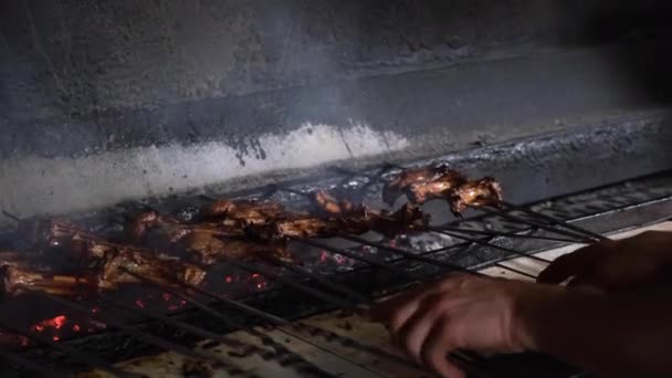 Izgara Kızarmış Tavuk Izgara Sosis Kebap Hamburger Sebze Barbekü Deniz — Stok video