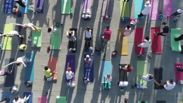Letecký Pohled Velké Skupiny Dospělých Účastní Jógu Venku Parku — Stock video