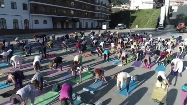 Sochi Rusia Jul Julio 2017 Mujer Hombre Personas Postura Yoga — Vídeos de Stock