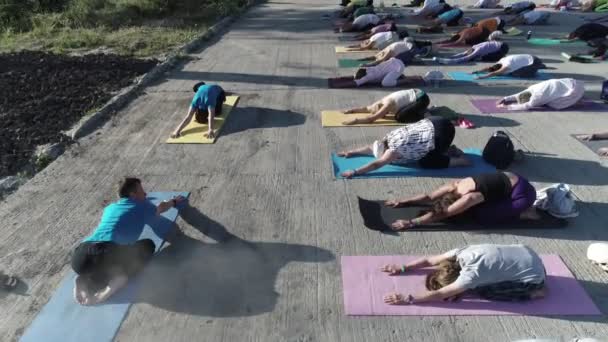 Sochi Ryssland Jul 2017 Kvinna Man Och Människor Yogaställning Roza — Stockvideo