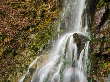 ralenti petite cascade tombant en cascade sur les rochers avec belle végétation luxuriante