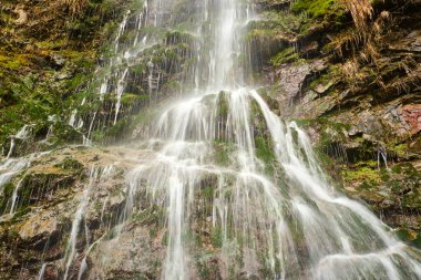 ralenti petite cascade tombant en cascade sur les rochers avec belle végétation luxuriante