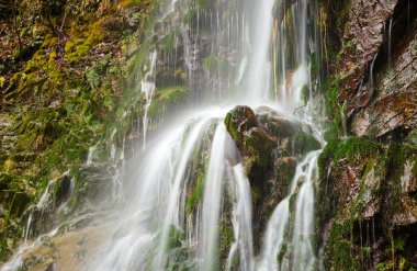 ralenti petite cascade tombant en cascade sur les rochers avec belle végétation luxuriante