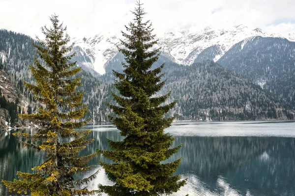 Schneebedeckter Winter See Ritsa Abchasien Kaukasus — Stockfoto