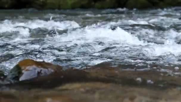 Гірська Річкова Вода Повільним Рухом Крупним Планом — стокове відео