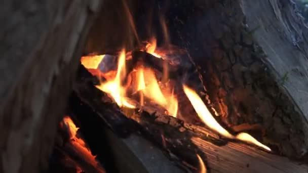 Brennendes Feuer Kamin Zeitlupe Looping Clip Eines Kamins Mit Mittelgroßen — Stockvideo