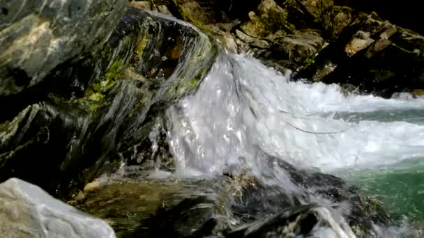 Slow Motion Vattenfall Närbild Naturen Våren Floden Nuvarande Kaukasiska Naturreservatet — Stockvideo