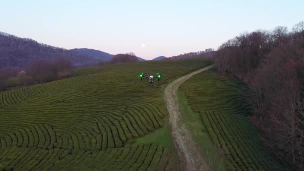 Quadcopter Flygning Skytte Kvällen Solnedgång Moonrise — Stockvideo