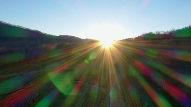 Wschód Słońca Nad Plantacje Herbaty Matsesta Herbaty Soczi Fotografia Lotnicza — Wideo stockowe