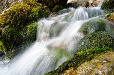 Yeşil yosun ve su akışı vahşi taşlarla. Islak vahşi taşlar ile yeşil yosun kaplı. Düşen su beyaz jet.