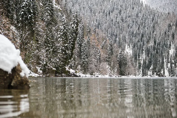 Invierno nevado en el lago Ritsa, Abjasia —  Fotos de Stock