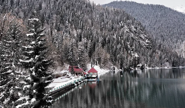 Güzel dağ gölü Ritsa. Caucasus Mounta Gölü Ritsa