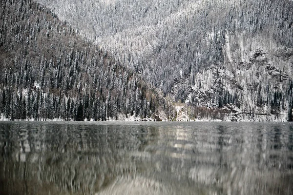 Göl Ritsa, Abhazya üzerinde karlı kış — Stok fotoğraf