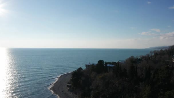 Drone Aéreo Câmera Sobe Mostra Mar Azul Costa Mar Negro — Vídeo de Stock