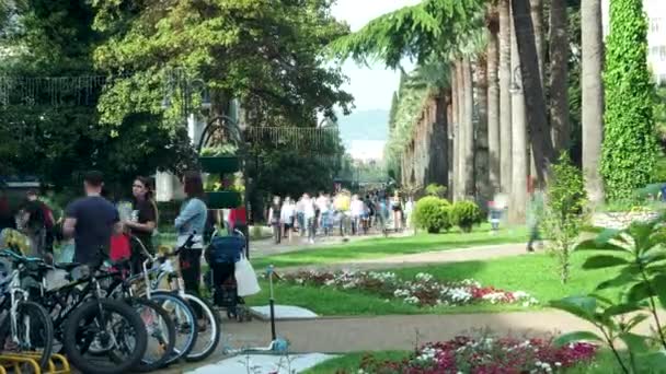 延时拍摄视频 位于索契市中心的步行街 游客在下午步行 绿棕榈树和草生长在草坪上 街上有许多人 — 图库视频影像