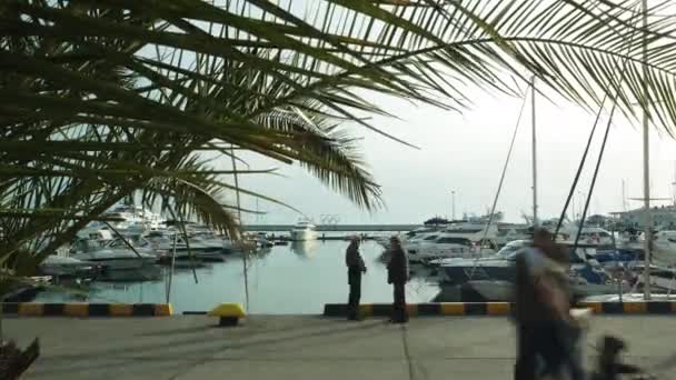 Zeitraffer Videoaufnahmen Die Schwarzmeerküste Von Sotschi Hafenjachten Und Boote Pier — Stockvideo