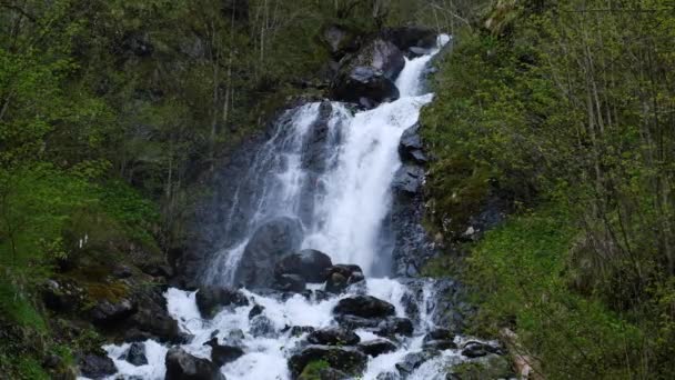 岩の上の山の川の強い流れ 山の滝きれいな水スローモーション 自然の美しさ 水の急流 — ストック動画
