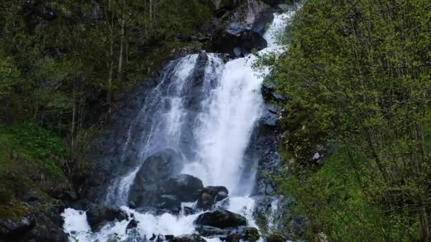 Una Fuerte Corriente Río Montaña Las Rocas Cascada Montaña Agua — Vídeo de stock