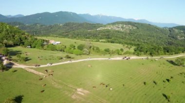 Havadan video çekimi. Arabalar dağ yoluna gider. Yeşil orman. En yüksek dağ. Mavi gökyüzü.