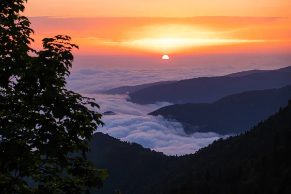 Sunset in the mountains. Large cumulus clouds over the mountains. Forest in the mountains. Evening light. Time to rest and enjoy. No people. — Stock Photo, Image