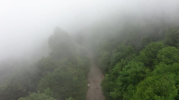 Grabación Video Aéreo Niebla Pesada Sobre Bosque Verde Carretera Vista — Vídeos de Stock