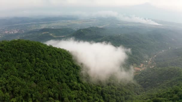 Grabación Video Aéreo Nubes Gruesas Sobre Las Montañas Bosque Verde — Vídeos de Stock