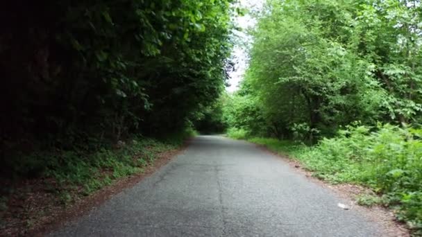 Filmagem Vídeo Aéreo Estrada Floresta Verde Tempo Nublado Tall Tree — Vídeo de Stock