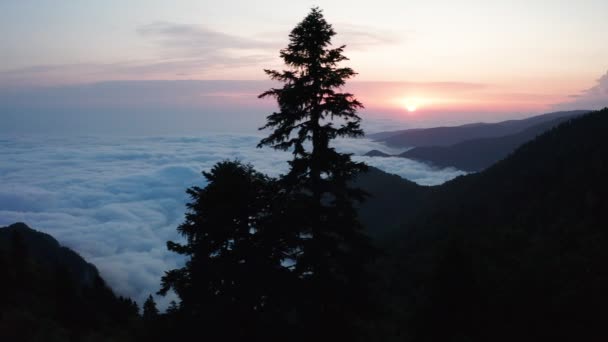 Antenne Video Opname Hoge Bergen Bomen Zonsondergang Zware Mist Wolken — Stockvideo