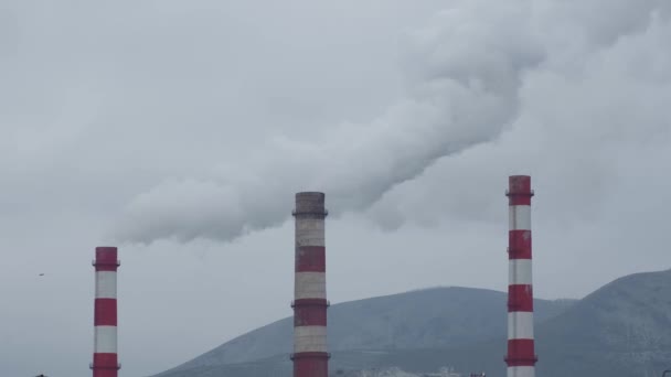 Rök från ett industrirör. Föroreningar. Ekologi. Växt. Grå himmel. — Stockvideo