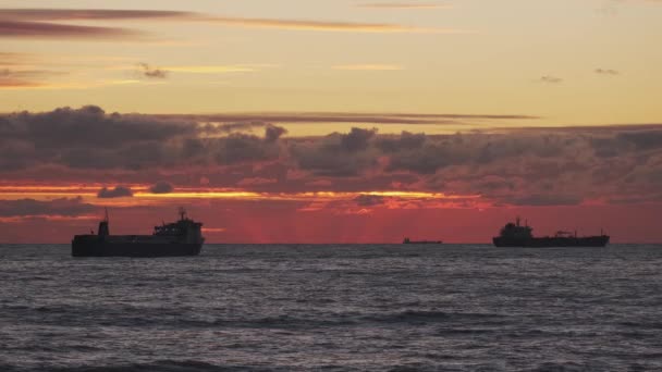 Transport Ship Sea Beautiful Orange Sunset Evening Shipping Sea Container — Stock Video