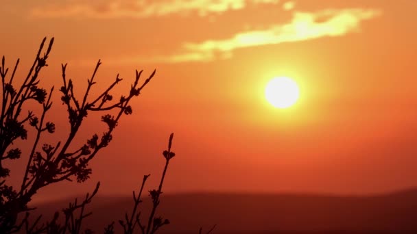 Il sole. Silhouette. La natura. Cielo arancione. Energia. Ecologia. Cielo limpido. Nessuna gente. . — Video Stock