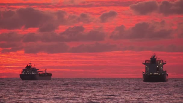 Statek Transportowy Morzu Piękny Pomarańczowy Zachód Słońca Dobry Wieczór Żegluga — Wideo stockowe