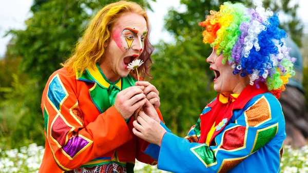 Sotschi Russland Juni 2020 Zwei Clowns Auf Einem Blumenfeld Fotoshooting — Stockfoto
