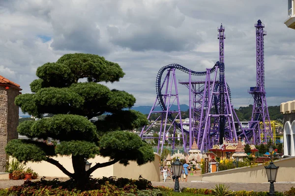 Sochi Russia June 2020 Sochi Park Attractions Landscap Infrastructure Park — Stock Photo, Image