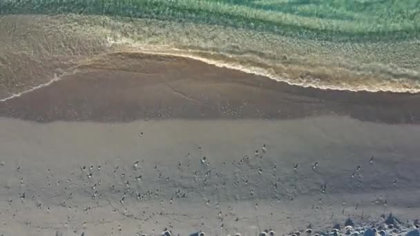 Utsikt Ovanifrån Fantastisk Utsikt Över Strand Med Strandparasoller Och Ett — Stockvideo