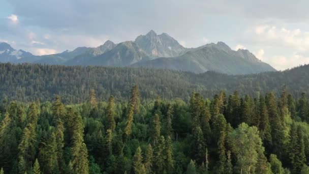 Flygdrönare Visa Flight Över Tallskog Mountain Vid Solnedgången Arhyz Ordförande — Stockvideo