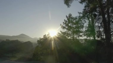 Bulutlarda uçuyor. Harika bir sabah doğumu doğal manzara. Sisli ormanda gün doğumu. Sabahları ormanın üzerinde uçmanın muhteşem manzarası. Ufuk çizgisine kadar büyülü bir sis var. Hava görüntüsü