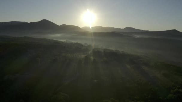 在云中飞行 美丽的日出自然景观 雾蒙蒙的森林里升起了太阳 早上在森林上空飞行的美妙景象 一直到地平线上都有神奇的雾 空中射击 — 图库视频影像