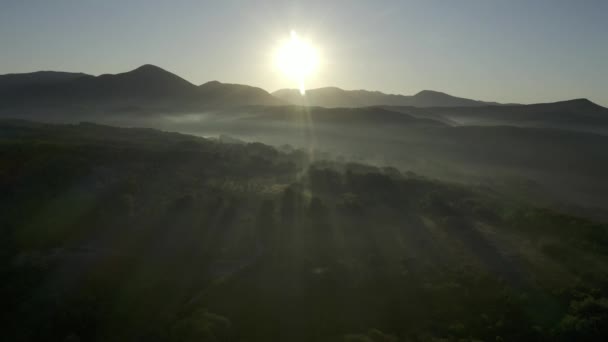 Vliegen Wolken Prachtige Ochtend Zonsopgang Natuurlijk Landschap Zonsopgang Mistig Bos — Stockvideo