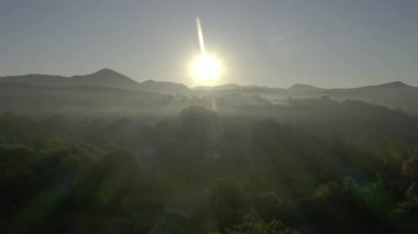 Bulutlarda uçuyor. Harika bir sabah doğumu doğal manzara. Sisli ormanda gün doğumu. Sabahları ormanın üzerinde uçmanın muhteşem manzarası. Ufuk çizgisine kadar büyülü bir sis var. Hava görüntüsü