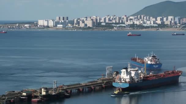 Novorossiysk Ryssland Aug 2020 Time Lapse Videos Lastfartyg Vid Hamnen — Stockvideo
