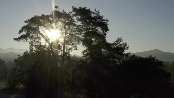 Helle Morgendämmerung Frühen Morgen Auf Dem Land Landschaft Von Natürlicher — Stockvideo