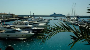 Güneşin aydınlattığı palmiye dalı. Güneş parlıyor. Liman. Tasarım için arka plan. Turist gezisi. Denizde tatil. Limanda yatlar. Soçi.