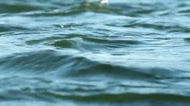 Blå Vatten Vågor Yta Vacker Bakgrund Med Kopieringsutrymme Färskt Dricksvatten — Stockvideo