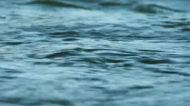 青い水の波の表面 コピースペースと美しい背景 新鮮な飲料水 カラフルなビデオ 環境問題 気候変動 干ばつ 飲料水の不足 — ストック動画