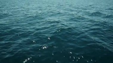 Fırtınada inanılmaz bir arka plan. Dalgalar deniz suyunda sallanıyor. Dalgalarla okyanusun güzel mavi suyu. Ağır çekim. Kapat.. 