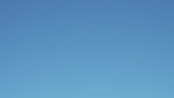 Реактивный Самолет Спускается Перед Посадкой Аэропорту Самолет Над Головой Летит — стоковое видео