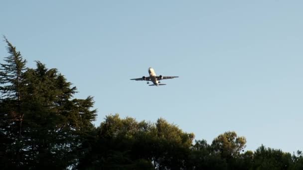 Sylwetka Samolotu Niebie Koncepcja Transportu Samolot Leci Niebieskim Niebie Chmurami — Wideo stockowe