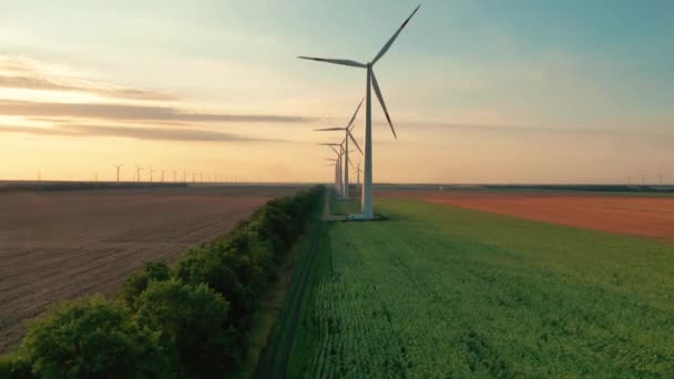 Parc Éoliennes Soir Heure Dorée Production Énergie Renouvelable Pour Monde — Video