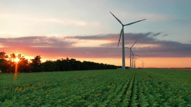 Letecký pohled na větrné turbíny stojící při západu slunce. Letecký pohled na farmu s větrnými turbínami. Vytváření čisté obnovitelné energie. jasně oranžový větrný park západu slunce. Alternativní energie — Stock video